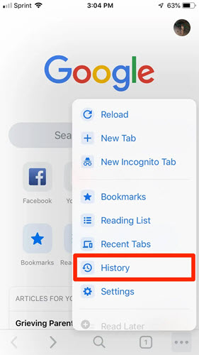 Check Chrome browser history